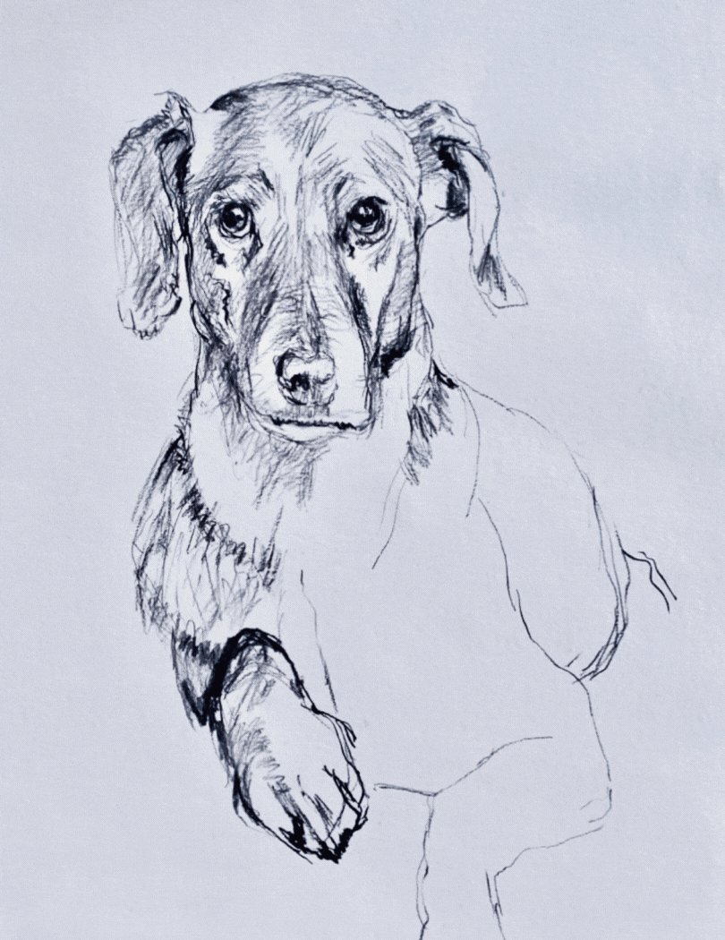 Proces (1050 x 810 px)